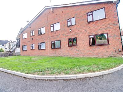Picture 16